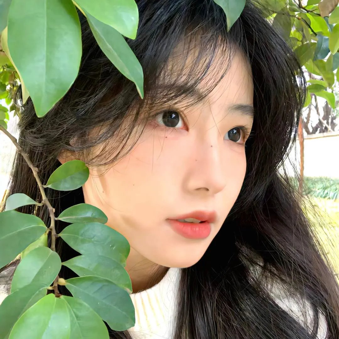 歌声欢唱的树